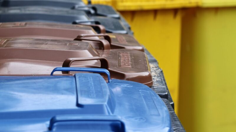 Landkreis Schweinfurt: Verzögerungen bei der Müllabfuhr wegen Krankheiten