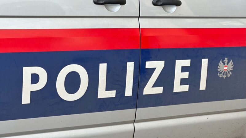 Syrer attackiert Passanten in Österreich – 14-Jähriger stirbt